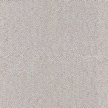 camira-era-cse41.jpg
